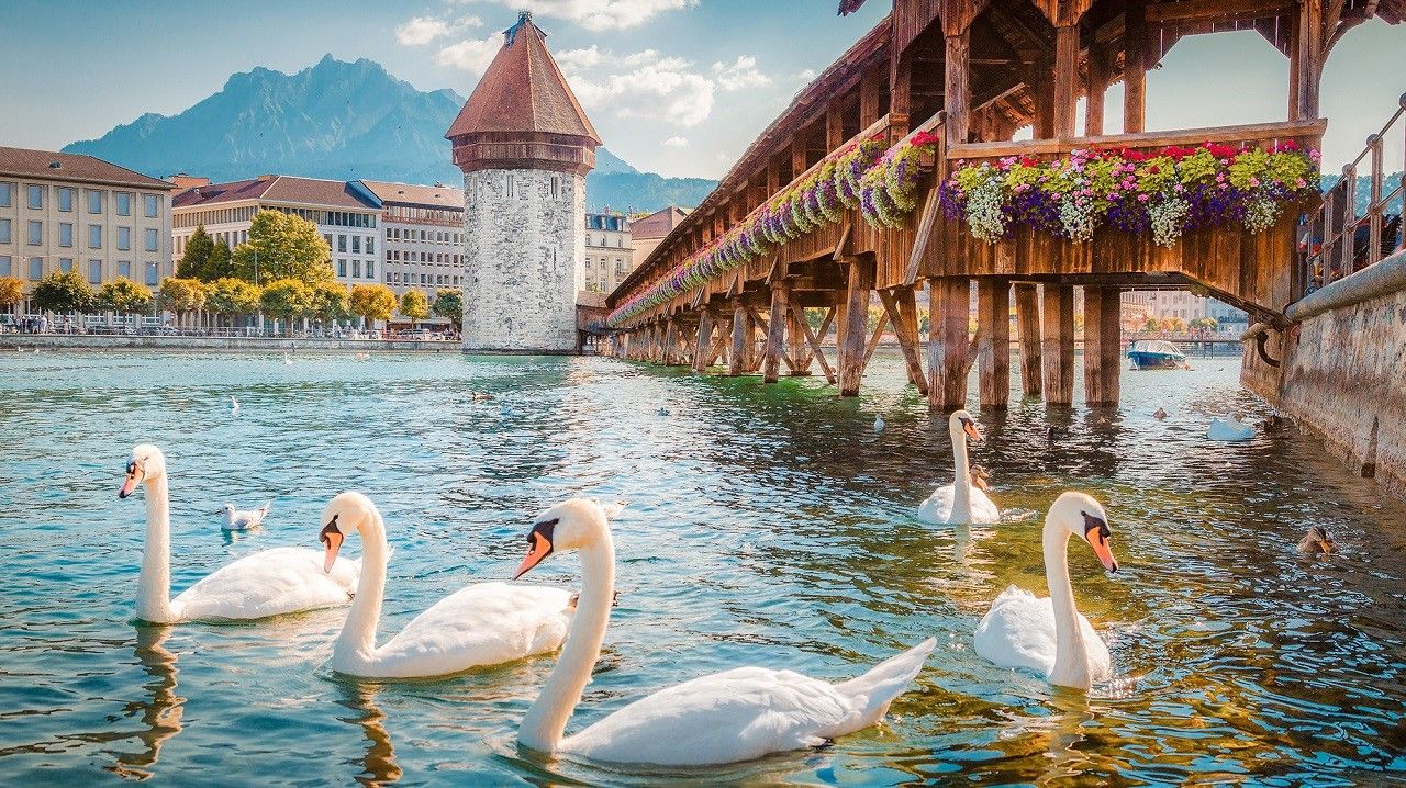 Khung cảnh thơ mộng tại chiếc cầu gỗ ở thành phố Lucerne